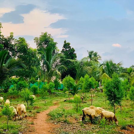 バンガロール Eco Farmヴィラ エクステリア 写真