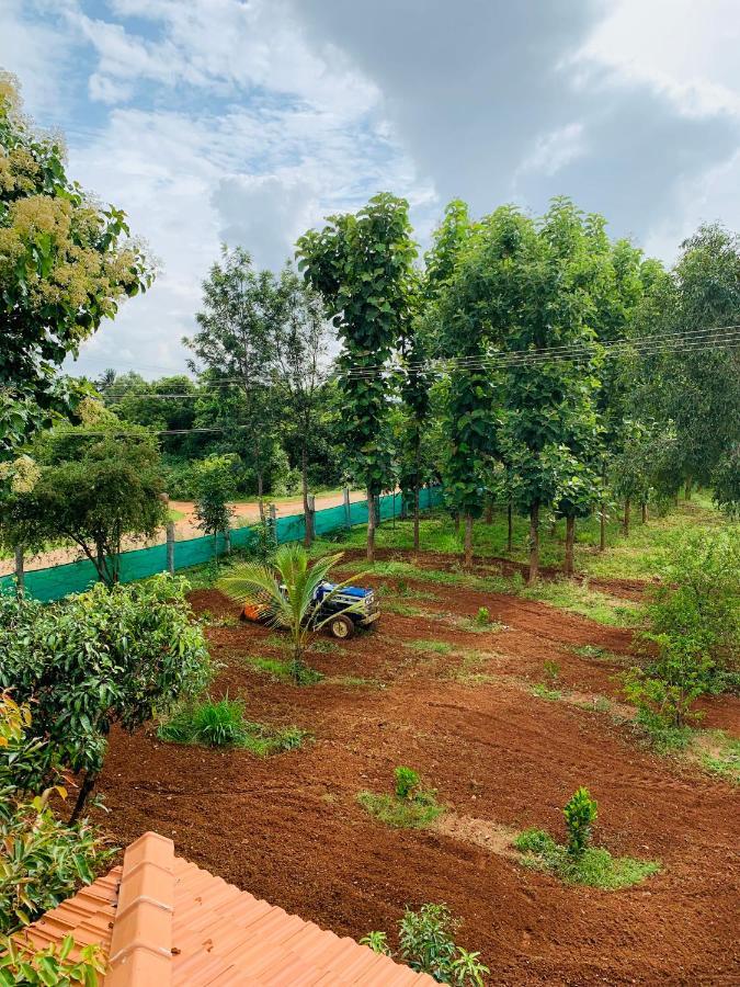 バンガロール Eco Farmヴィラ エクステリア 写真