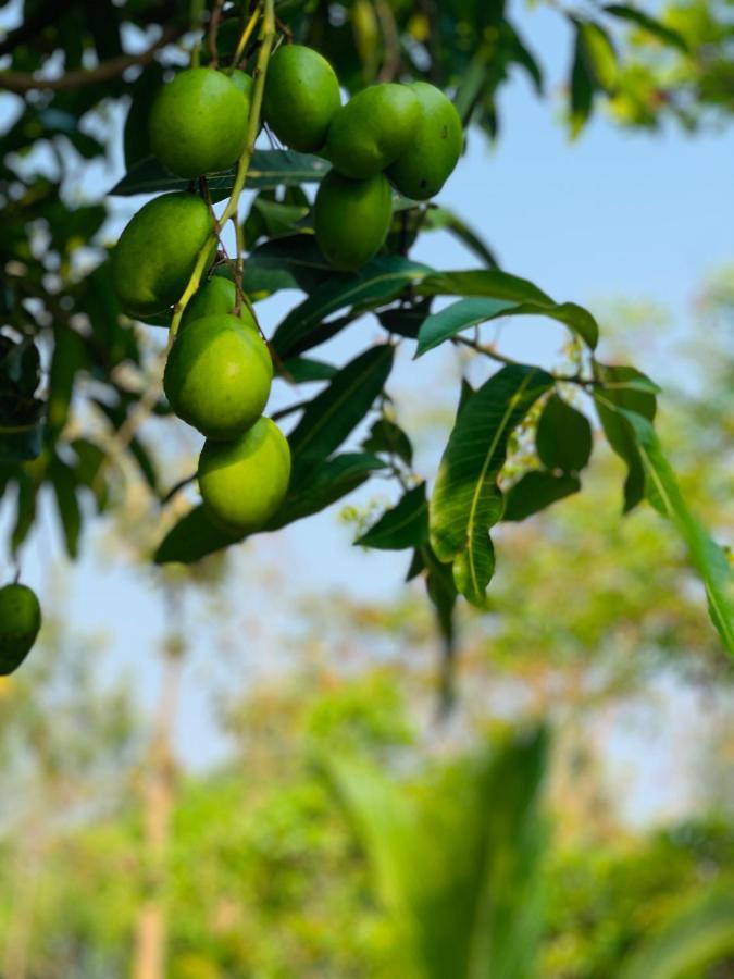 バンガロール Eco Farmヴィラ エクステリア 写真