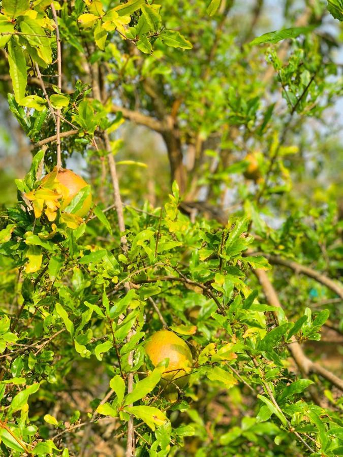 バンガロール Eco Farmヴィラ エクステリア 写真