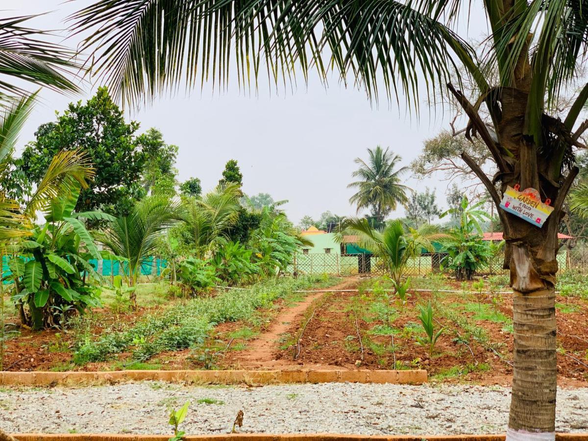 バンガロール Eco Farmヴィラ エクステリア 写真