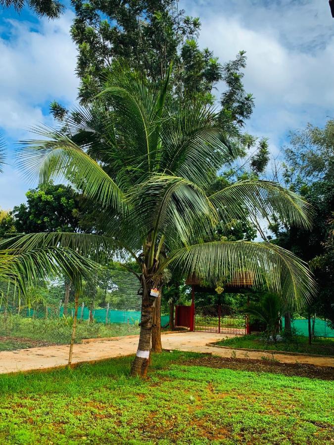 バンガロール Eco Farmヴィラ エクステリア 写真