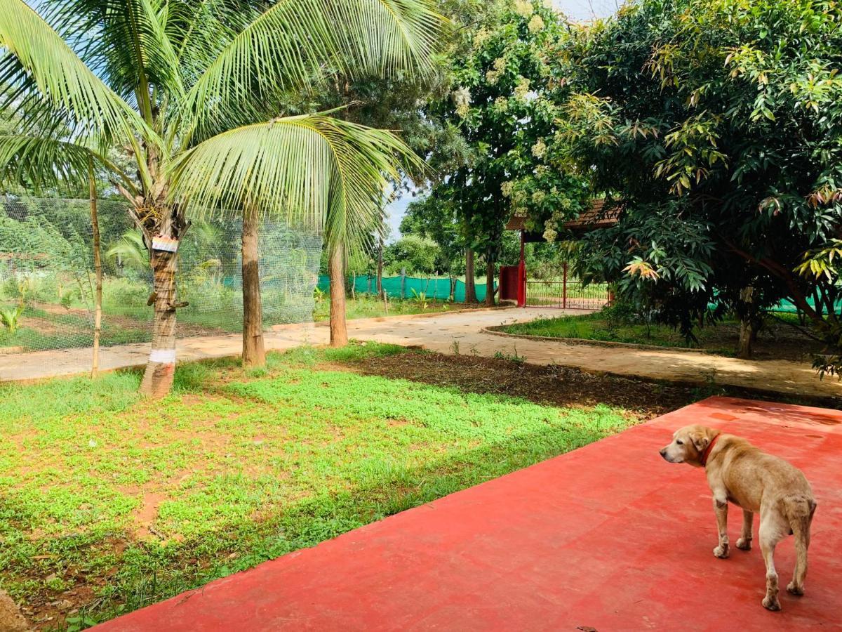 バンガロール Eco Farmヴィラ エクステリア 写真