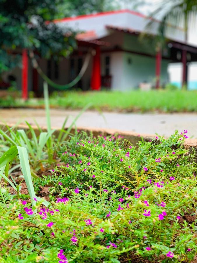 バンガロール Eco Farmヴィラ エクステリア 写真
